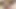 Lexi Belle büyük bir oyuncakla 31 talimatı için seksi bir üniversiteli kız