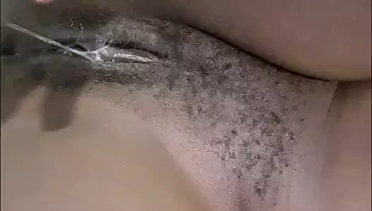 Güney Afrika ıslak kedi