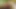 Porno izlerken parmaklarımla boşaldım