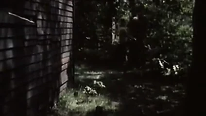 İsveç klasiği