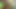 Tamil evli kadın seks porno mms viral