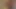 KEDİ açılış