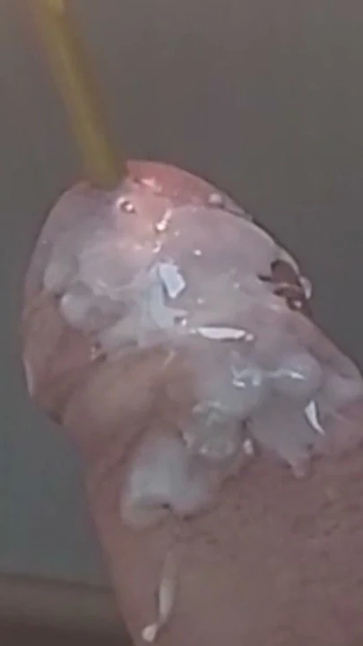 Mumla üretraya sokulan sik mumu oyunu | Bölüm 1