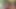 Bonemaiden seksi ayakları ve ıslak ıslak amcığıyla her seferinde erkeğini boşaltıyor