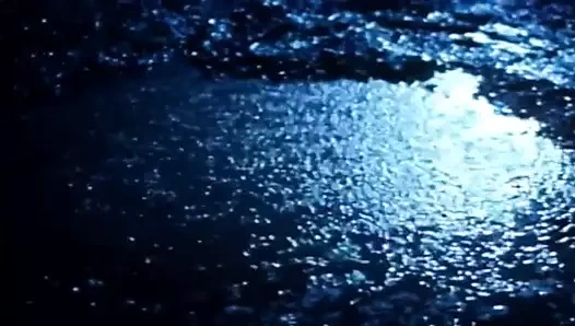 Vahşi dallas-honey wilder