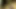Siyah tranny berbat iyi çük