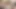 Nadir bi seks ffmm dörtlü eş değiştiren büyük sarkık memeli olgun ve genç kızla anal seks