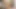 Travesti Mariana Rios muhteşem götünü makineye siktiriyor