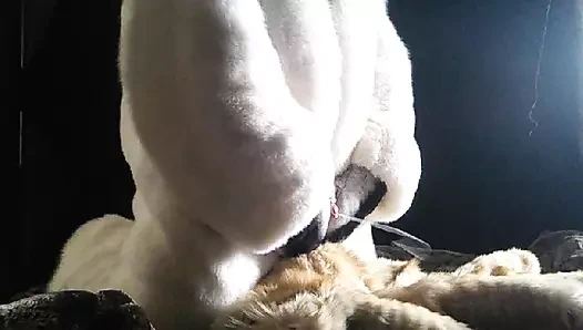 Fur Cumshot Fur genel olarak