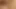 İki seksi hatun birbirlerinin amını memnun ediyor