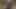 A desi boy hot dick made masturbation video with cumload his big dick