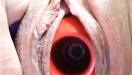 Kong oyuncak içinde kedi 2