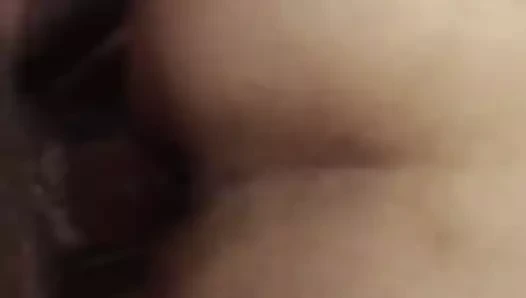 Tay tatlı köpek stili 2