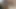 Fullpornnetwork - Kriket Rose kalın delikanlılar Tim von Swine ve Angus Akçaağaç'ın alenilerine karşı koyamıyor