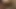 19yr pov kedi Asya n Tayland kedi çarptım p3