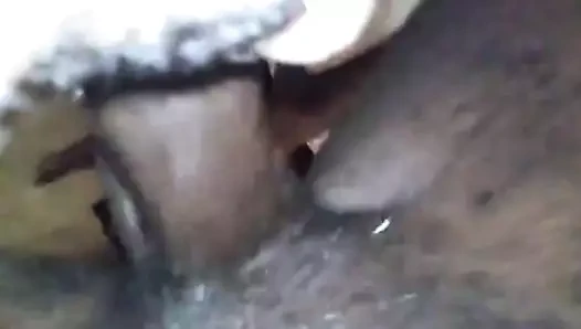 Abanoz kraliçe fışkırtma üzerinde benim çük