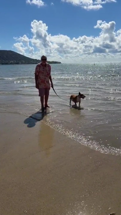 Paiko Fishpond, East Oahu, Hawaii | Klip 2