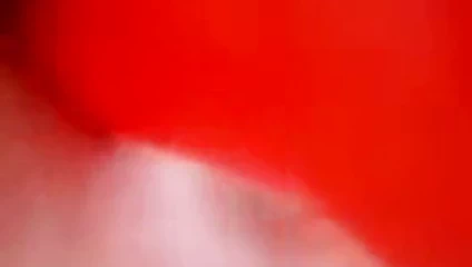 Ng kuş harap kedi esneme nöbeti