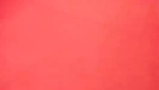 Liseli siyah bir horoz aşık olur