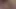 Kahrolası kedi ile yapay penis önce bir kedi tıraş