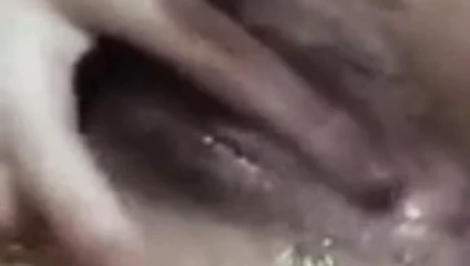 güzel ıslak Asya KEDİ parmak