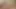 A stepbrother secretly gives a big-ass dark-haired a fellatio in a deep-throat porn video.
