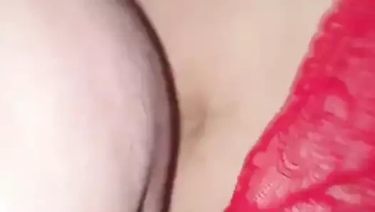 Levrette du soir