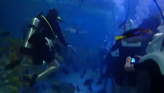 ev yapımı darbe iş ve derin boğaz