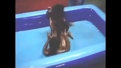 Abanoz bashment yağlı güreş