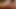 Cum haraç üzerinde kiara alia advani