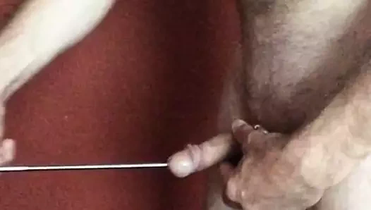 25 cm in meinem Schwanz