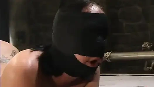 Mark Davis ve Julie Night