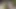Ashlyn Lee balığa gidiyor ama