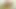Realgfsexposed - genç vanessa kim bir tavşan havası alıyor