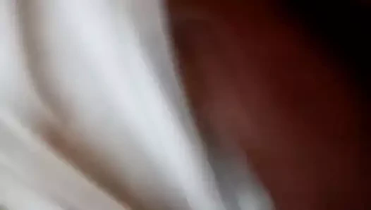 Sıcak deldi siyah kedi