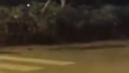 Chioggia'daki trein istasyonunun yakınında (ve.)