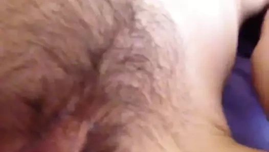 Dev kedi parmakları