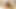 Fuck holidays at the riding stable - facesitting and blowjob