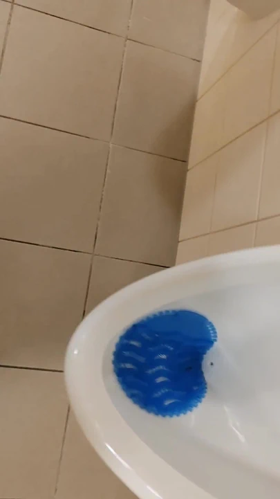 sidik ve döl mixxxxx