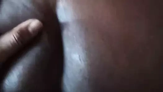 50 yaşındaki nassau bahamas kedi