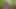 Tamil Virgin seni kırsalda görmeye bayılıyorum, seni emiyor ve sonunda Xvideo'da sikiliyorsun.