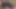 Dövmeli kızlar döl takası ile ıslak çifte oral seksi paylaşıyor