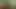 exGf