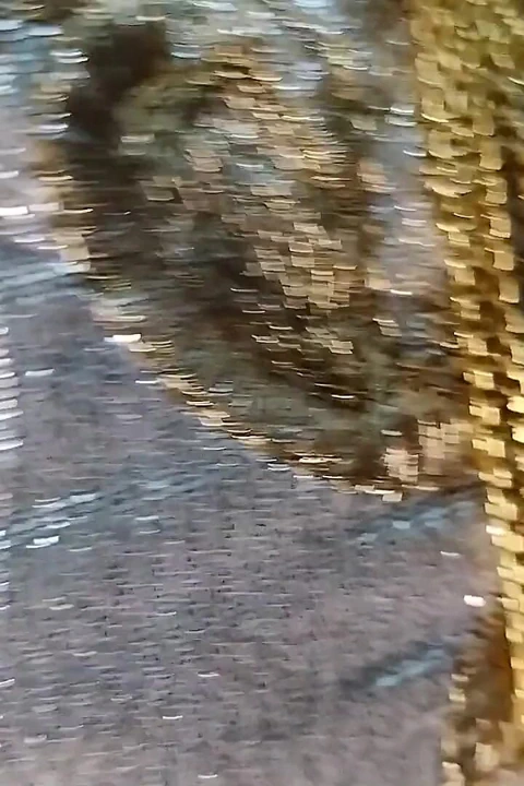 Land lord seksi ' kadınlar erkeğin sert sert seksini izliyor