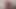 Tatlı Pembe Amcık Sabah Sidik Derlemesi
