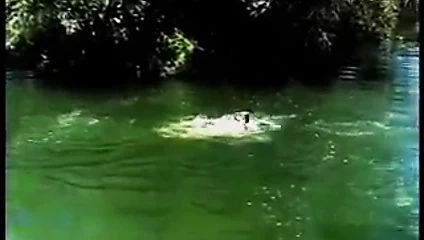 Hammerboys tv'den yaz rüyaları 1