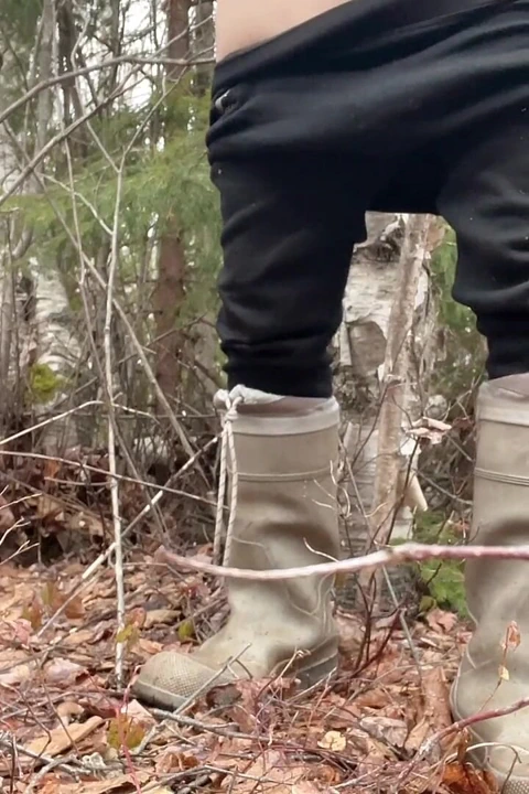 Ormanda Çok Havalı Işiyor