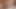 Pornlandvideos yakın yukarı köpek ile anne mariana