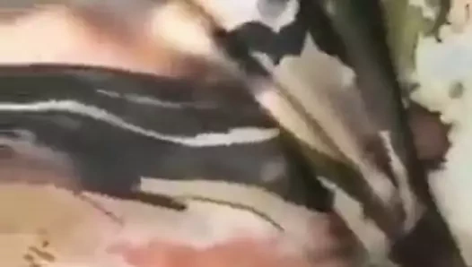 Arap tesettürlü arabada seks