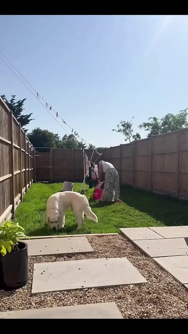 Her sorduğumda oral seks